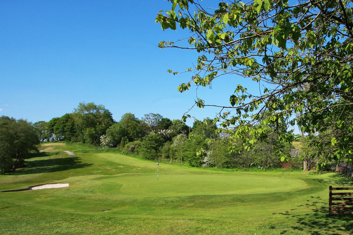 6th Green